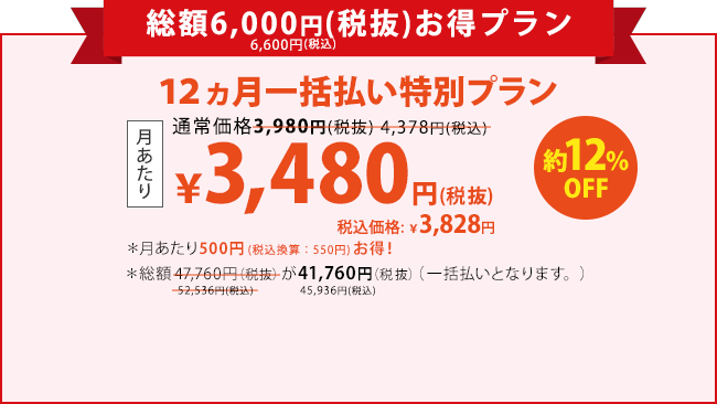 お得な12ヵ月一括払いプラン￥41,760円(税込)