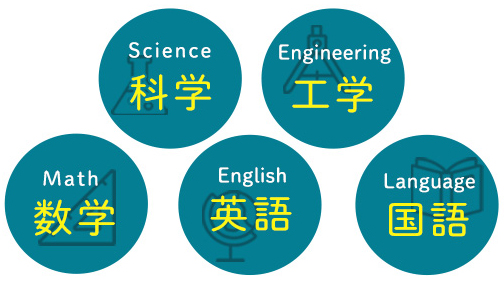 learning ability 複数科目をを通して問題を解決する学習力
