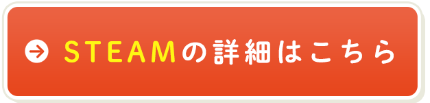 STEAM詳細はこちら